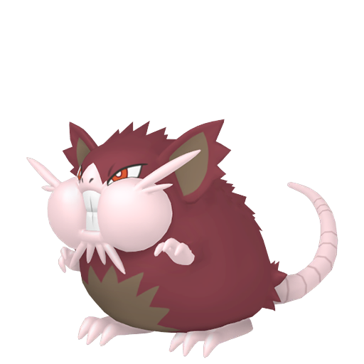 Alolan Raticate