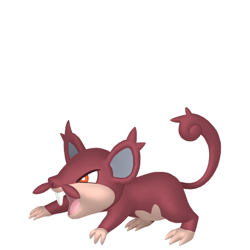 Alolan Rattata