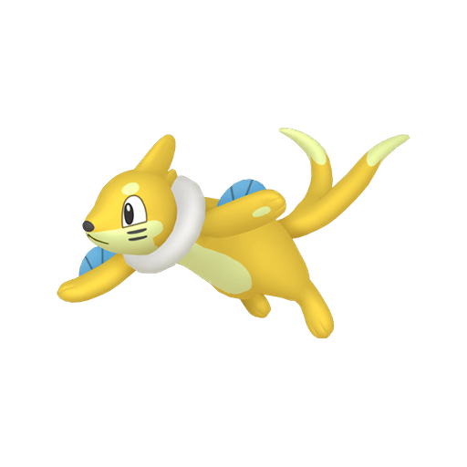 Buizel
