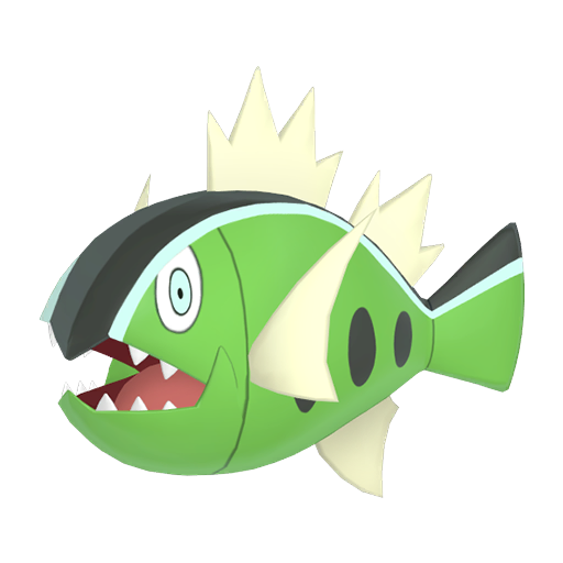 Basculin - White Stripe