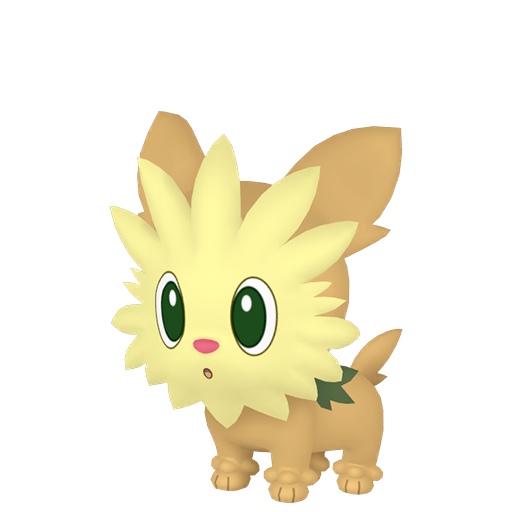 Lillipup