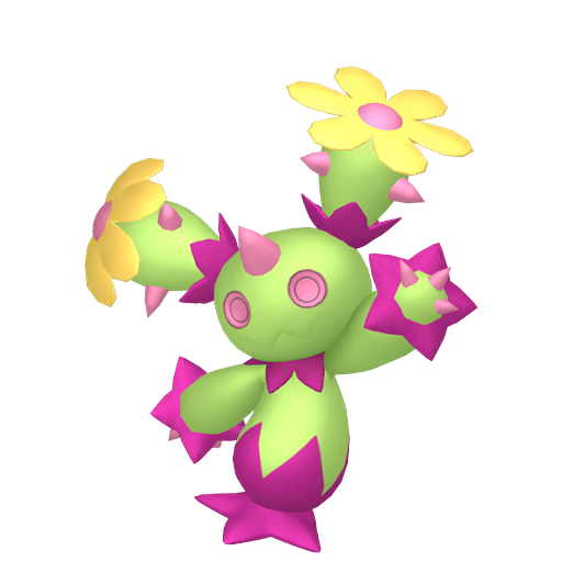 Maractus