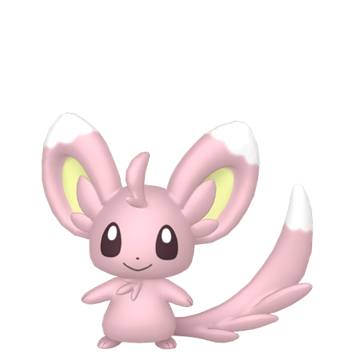 Minccino