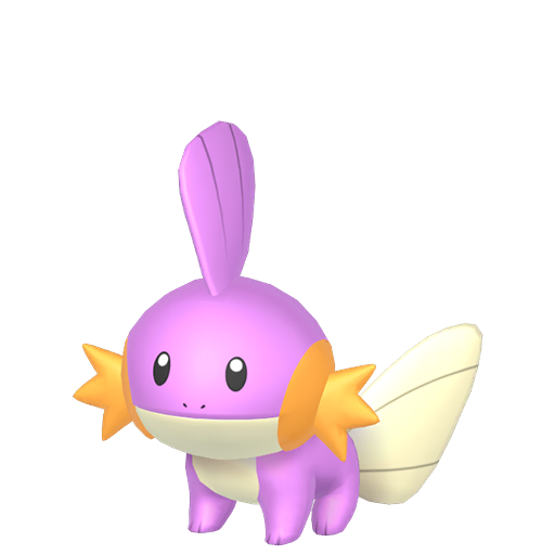 Mudkip