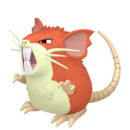 Raticate