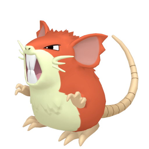Raticate