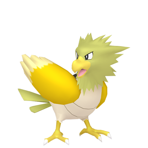 Spearow