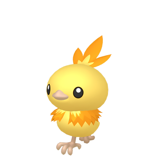 Torchic