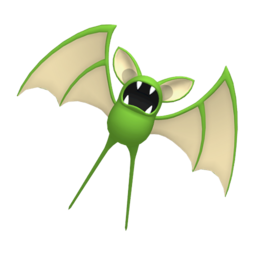 Zubat